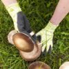 H447G Garten Nylon-Handschuh mit Latex-Beschichtung 12 Paar, Gr.7 Arbeitshandschuhe online kaufen Gartenhandschuhe 10